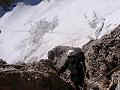 007_alpen_sommer_2005_030.JPG (10283 Byte)