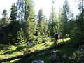 007_alpen_sommer_2005_051.JPG (12527 Byte)