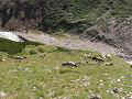 007_alpen_sommer_2005_119.JPG (11738 Byte)