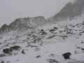 007_alpen_sommer_2005_128.JPG (7964 Byte)