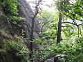 007_2005_thueringen1_01.JPG (14702 Byte)