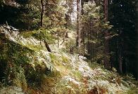 010_austria_tennengebirge_009.JPG (10314 Byte)
