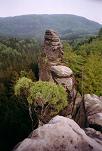 010_elbsandsteingebirge_009.JPG (4716 Byte)