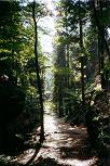 010_elbsandsteingebirge_013.JPG (6677 Byte)