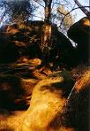 010_elbsandsteingebirge_016.JPG (5347 Byte)