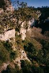 France/005_france_provence_017.JPG (2225 Byte)