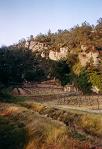 France/005_france_provence_018.JPG (1866 Byte)