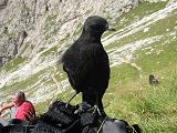 010_italy_dolomites_catinaccio_024.JPG (7490 Byte)