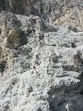 010_italy_dolomites_catinaccio_061.JPG (7978 Byte)