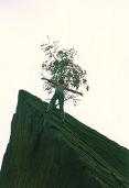 005_loebejuen_theedge_14.JPG (1596 Byte)